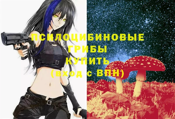 MDMA Верхний Тагил