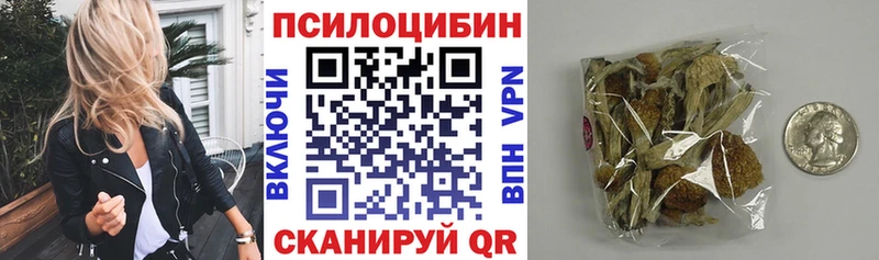kraken ссылки  Псков  Галлюциногенные грибы Psilocybe 